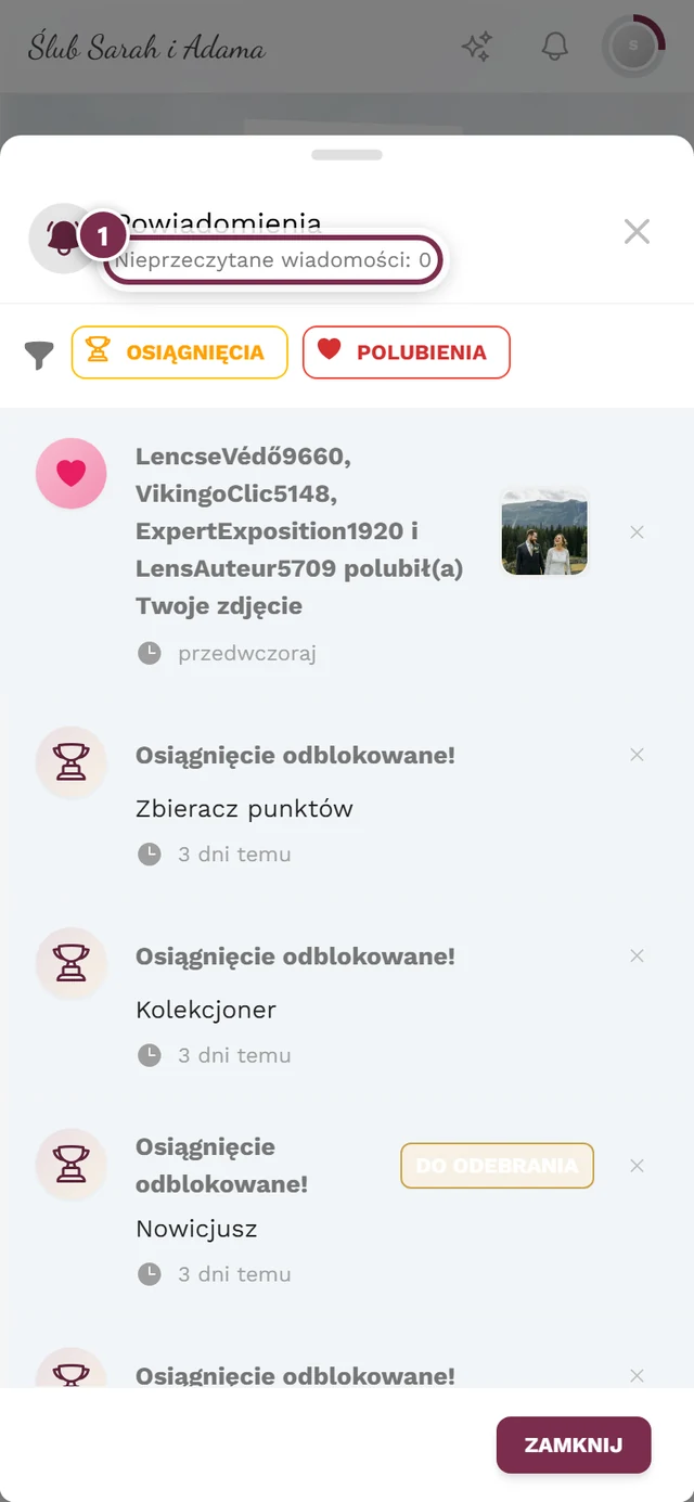 Otwarte okno powiadomień z zaznaczonym wierszem nieprzeczytanych wiadomości