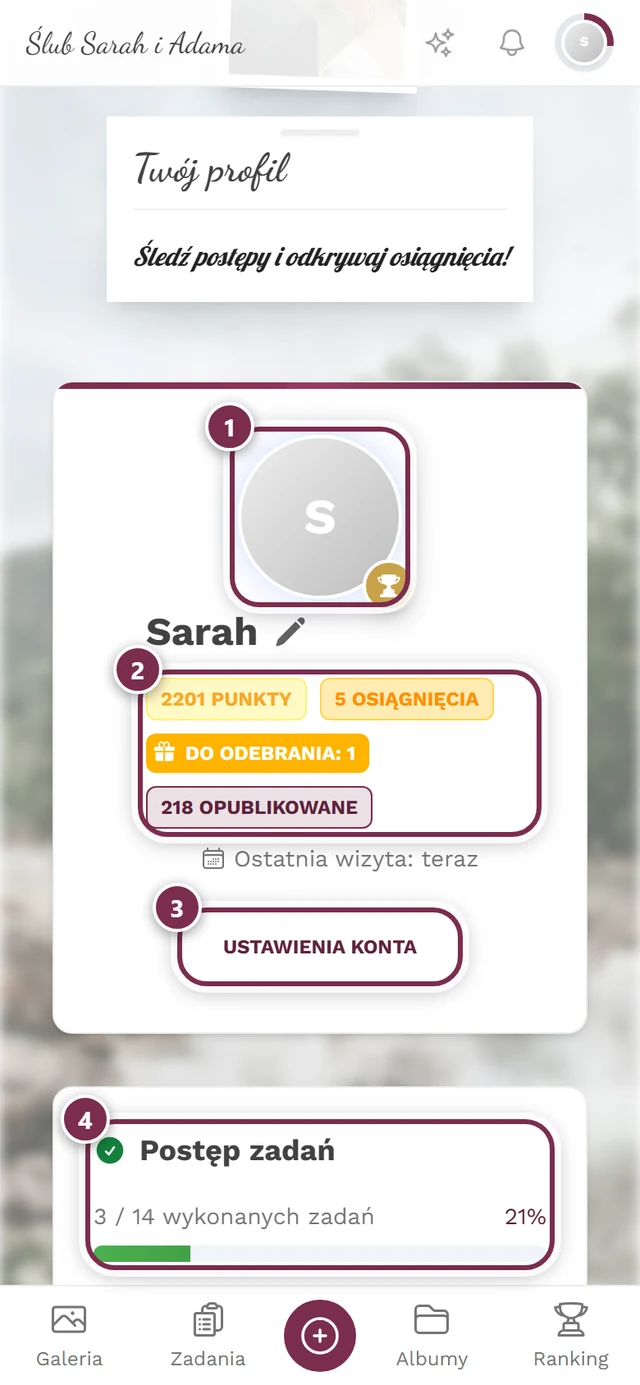 Własna strona profilu z pseudonimem i kartami statystyk