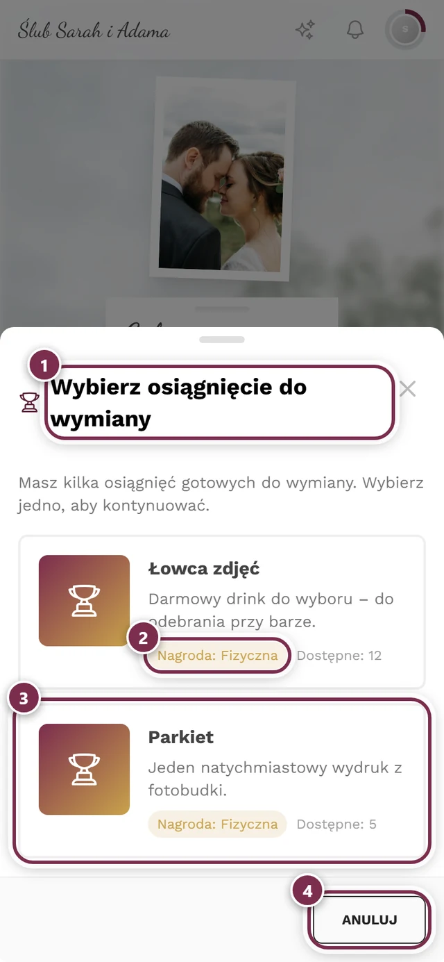 Okno wyboru z dwiema kartami nagród i czterema oznaczeniami