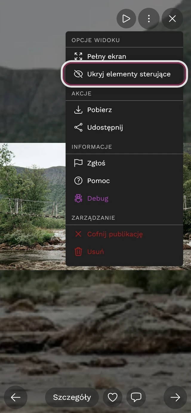 Otwarte menu z trzema kropkami widoku pełnoekranowego z zaznaczoną pozycją Ukryj elementy sterujące