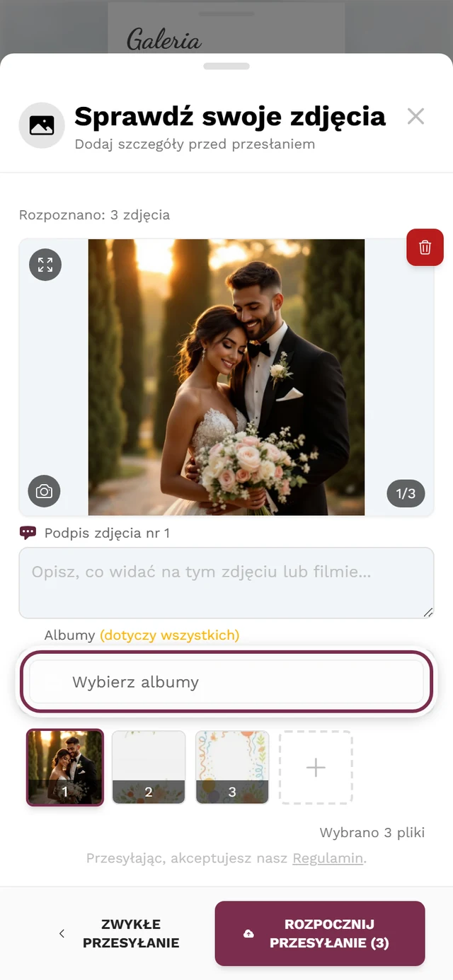 Ekran sprawdzania przesyłania z zaznaczonym przyciskiem Wybierz albumy