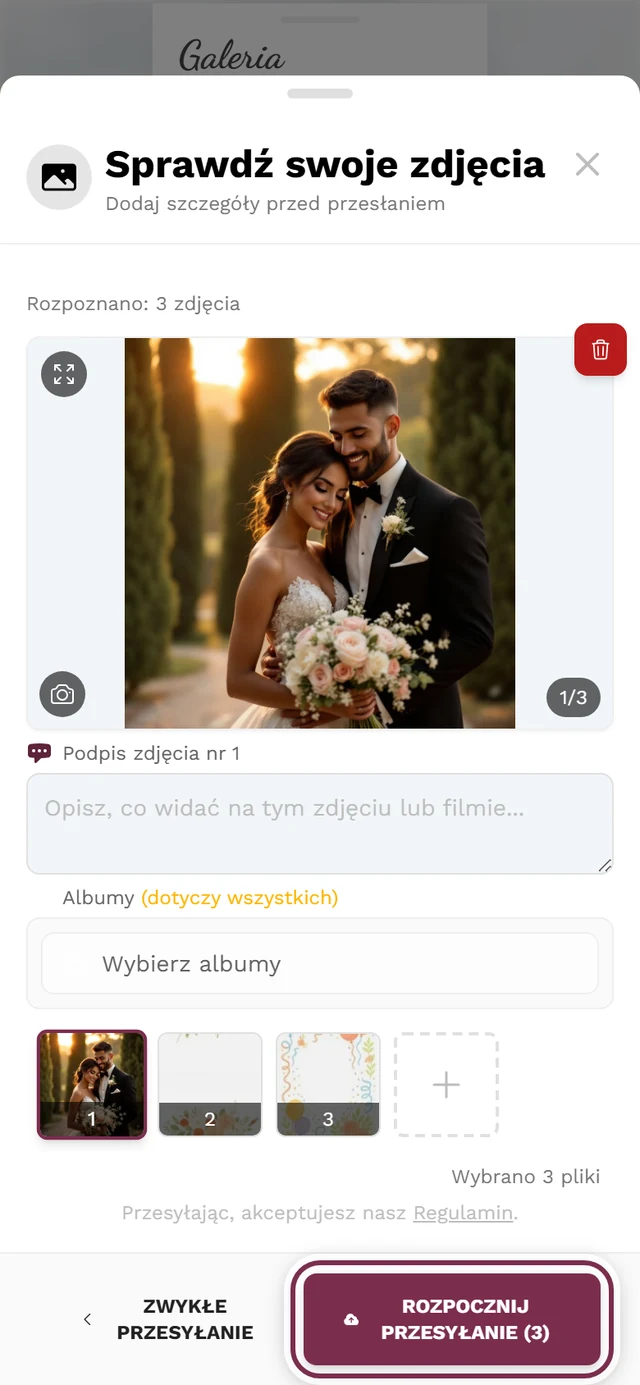 Ekran sprawdzania przesyłania z dużym podglądem, paskiem miniatur i zaznaczonym przyciskiem Rozpocznij przesyłanie