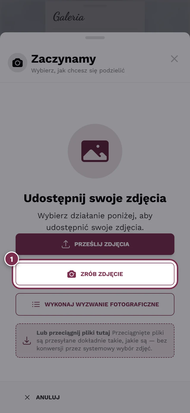 Okno przesyłania z wyróżnionym przyciskiem Zrób zdjęcie