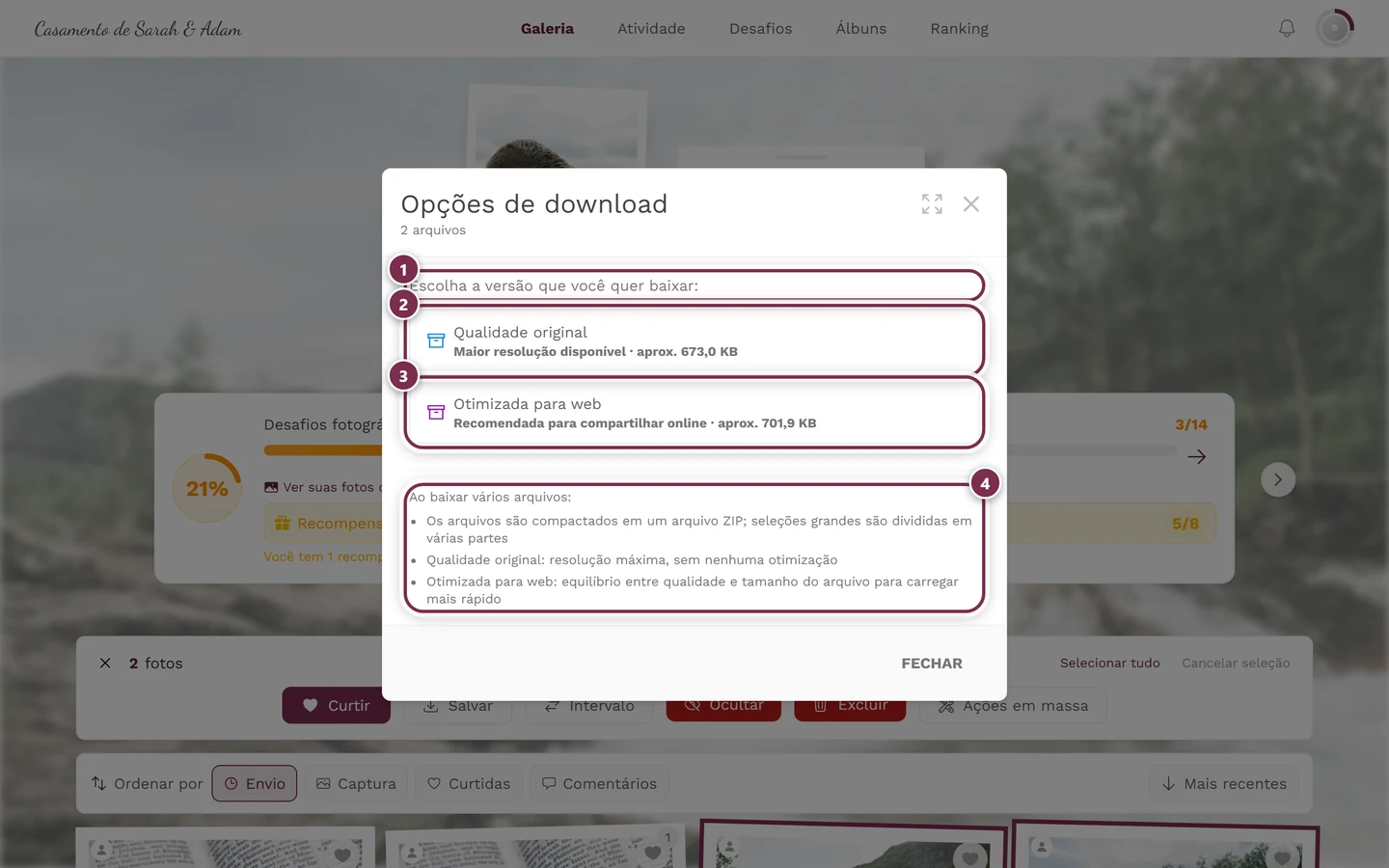 Diálogo Opções de download com duas fotos marcadas e o aviso de ZIP