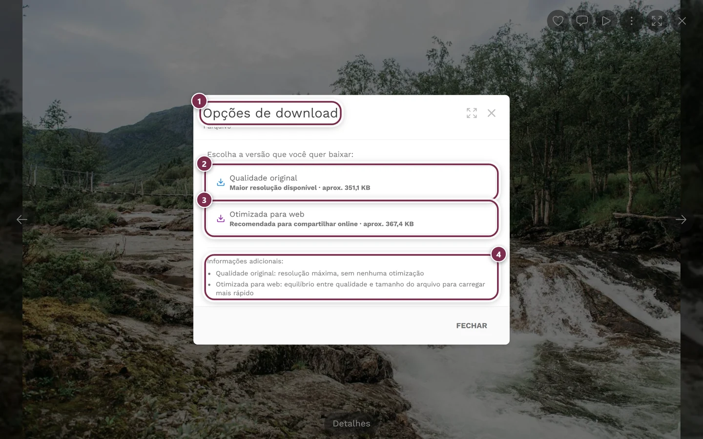 Diálogo Opções de download com as escolhas Qualidade original e Otimizada para web destacadas