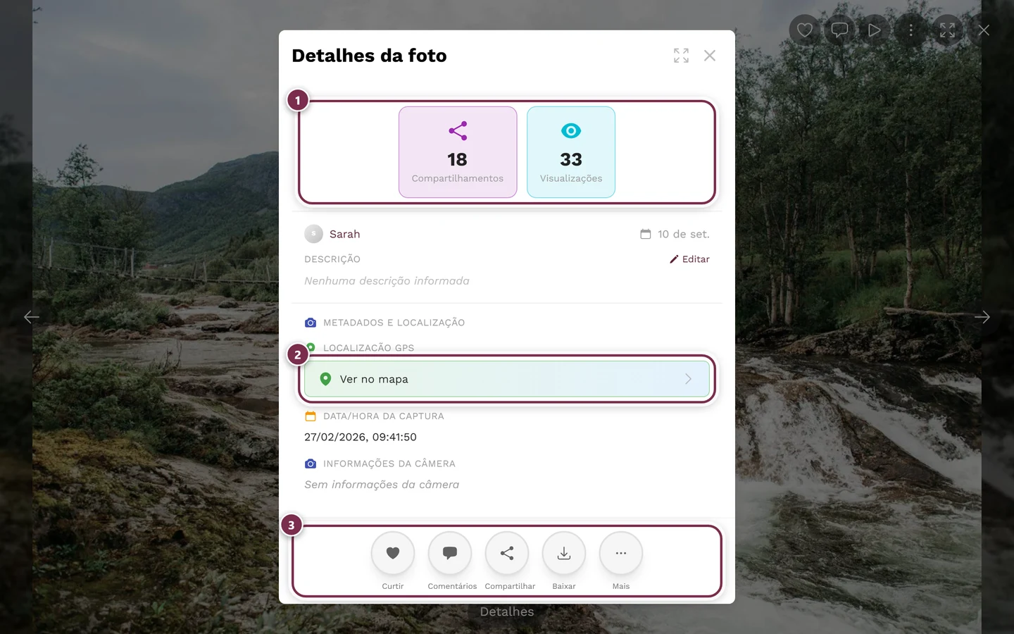 Diálogo de detalhes da foto com estatísticas, autor do envio, data e dados da captura