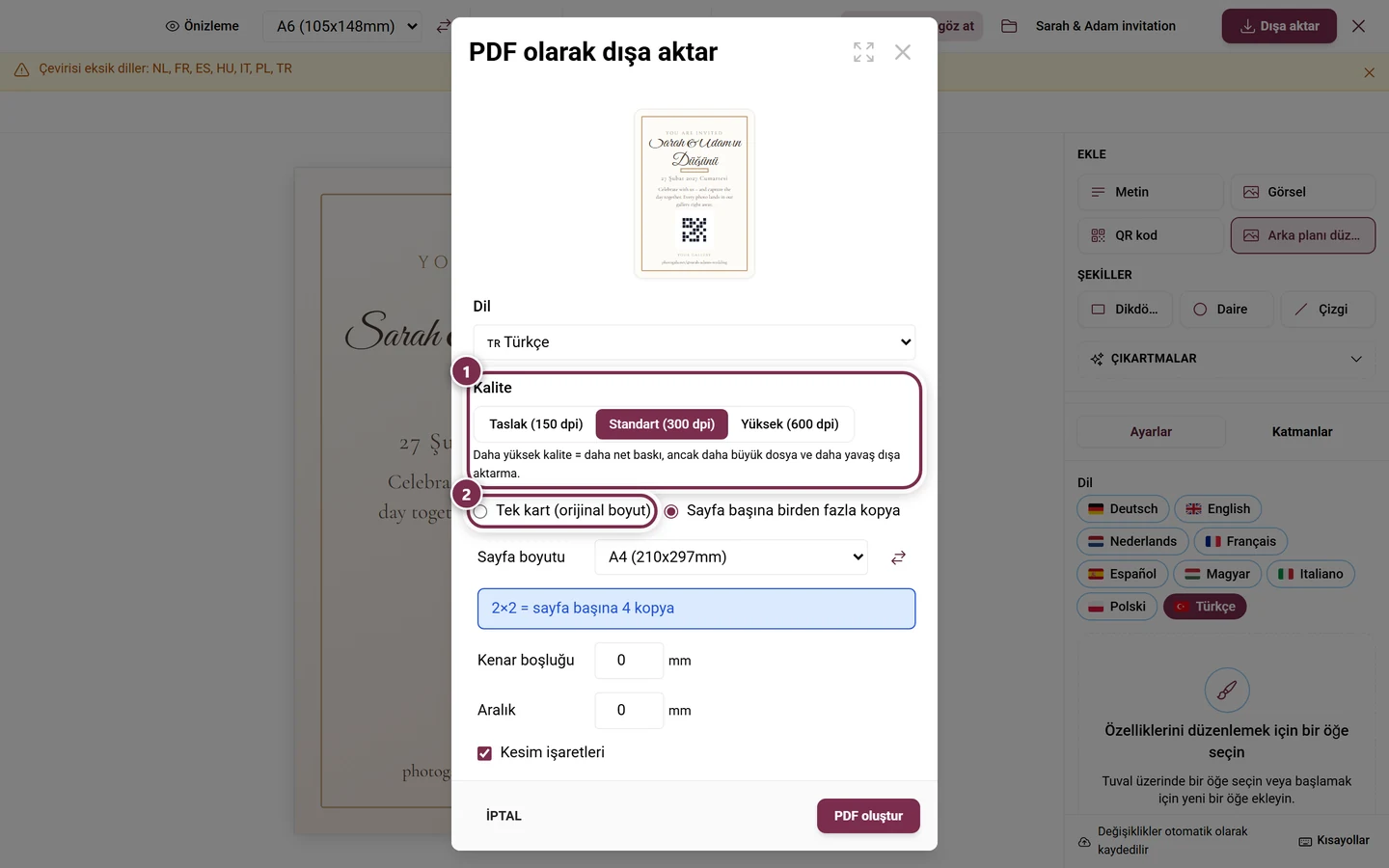 Kalite seçicisi ve düzen seçimi işaretlenmiş Design Studio dışa aktarma iletişim kutusu