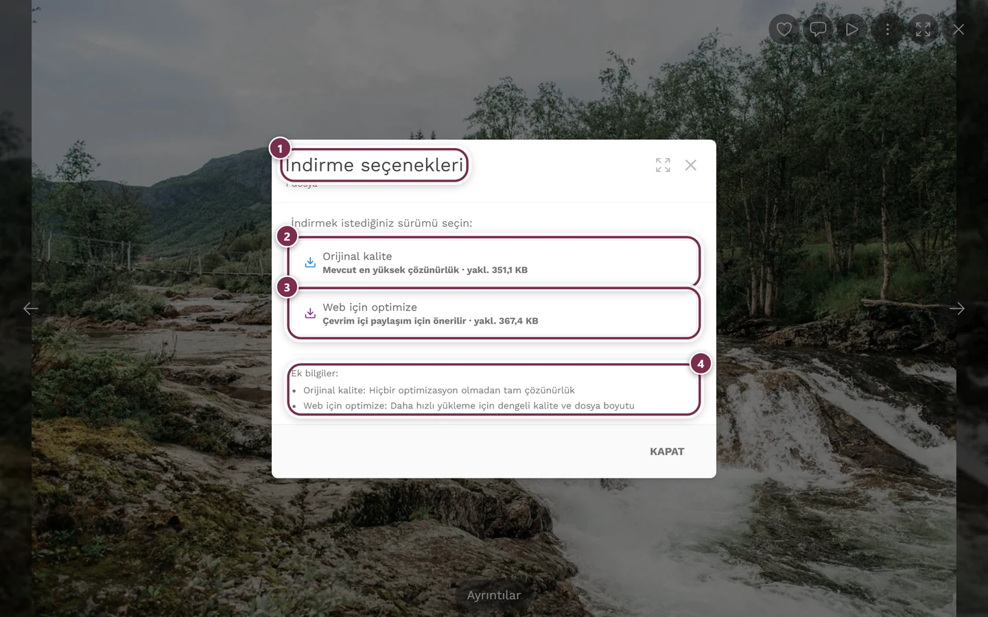 Orijinal kalite ve Web için optimize edilmiş seçenekleri işaretli İndirme seçenekleri iletişim kutusu