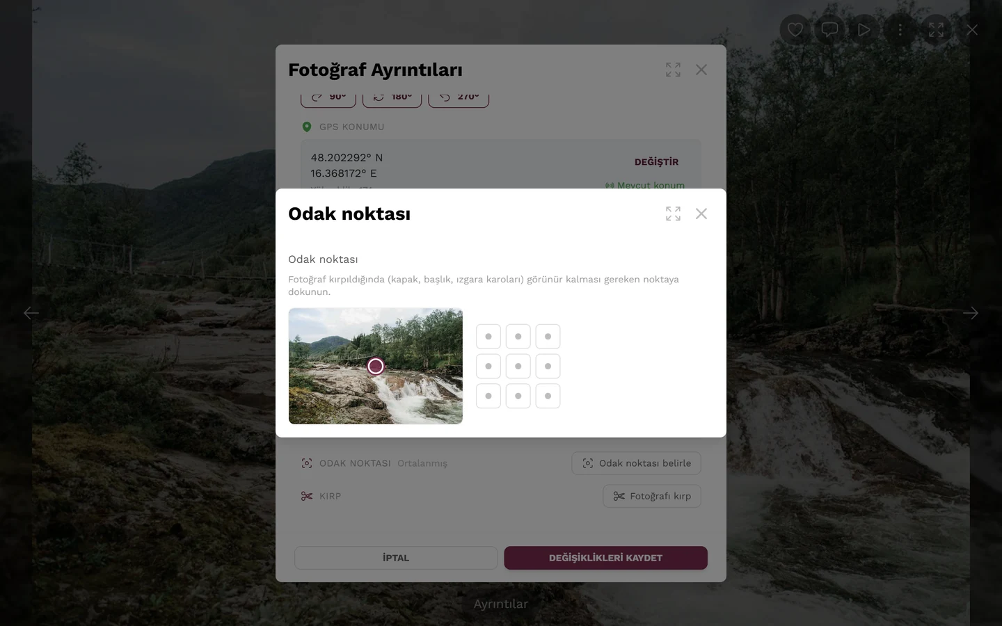 Önizleme görseli, işaretçi ve dokuz hazır konumlu ızgarayla Odak noktası açılır penceresi