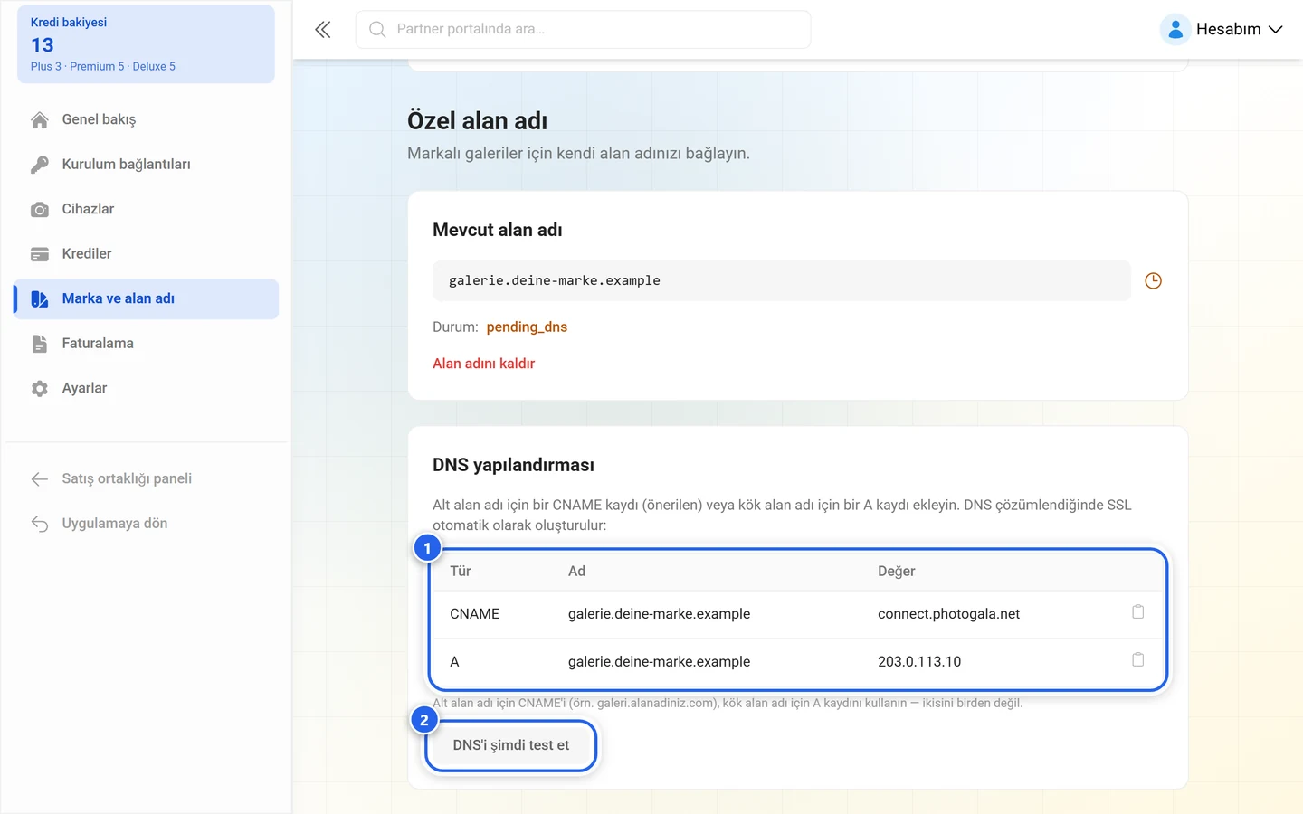 Kayıt tablosu ve DNS'i şimdi test et düğmesi işaretli galeri alan adının DNS yapılandırması
