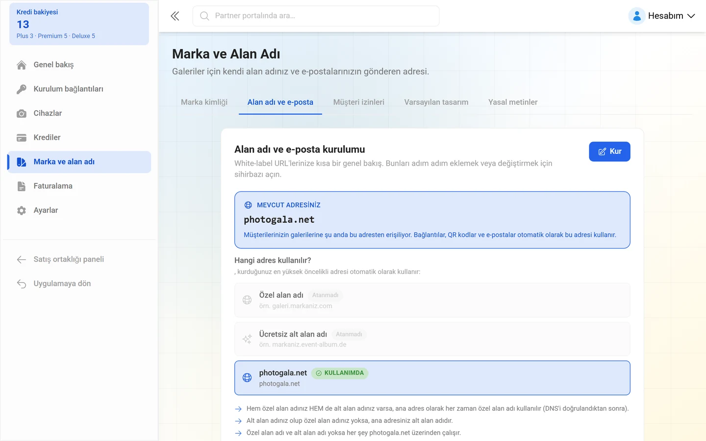 Marka yönetiminin Alan adı ve e-posta sekmesi