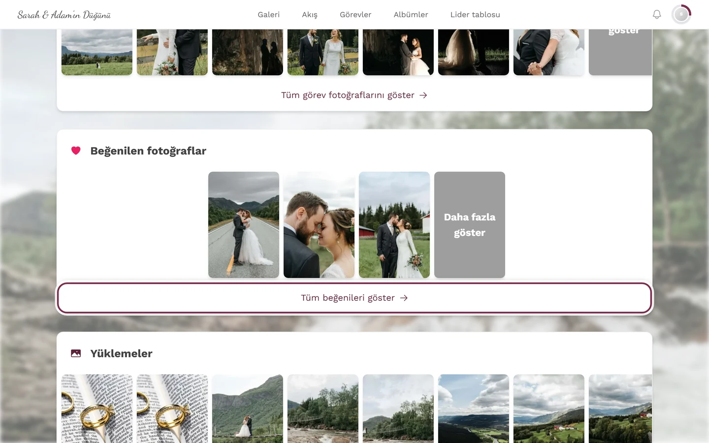 Profil sayfası, Tüm beğenileri göster bağlantısı işaretli Beğenilen fotoğraflar bölümü