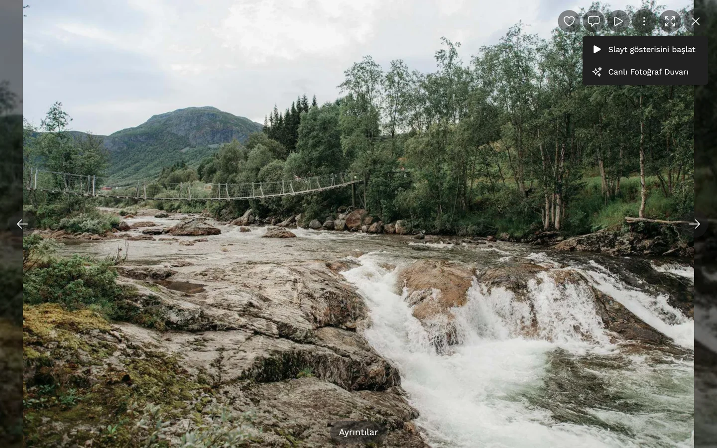Slayt gösterisini başlat ve Canlı fotoğraf duvarı öğeleriyle tam ekranda açılmış oynatma menüsü