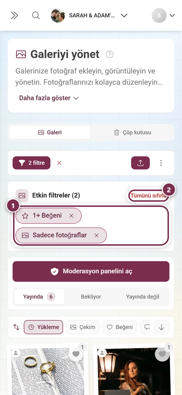 İki çip ve Tümünü temizle düğmesiyle Etkin filtreler çubuğu