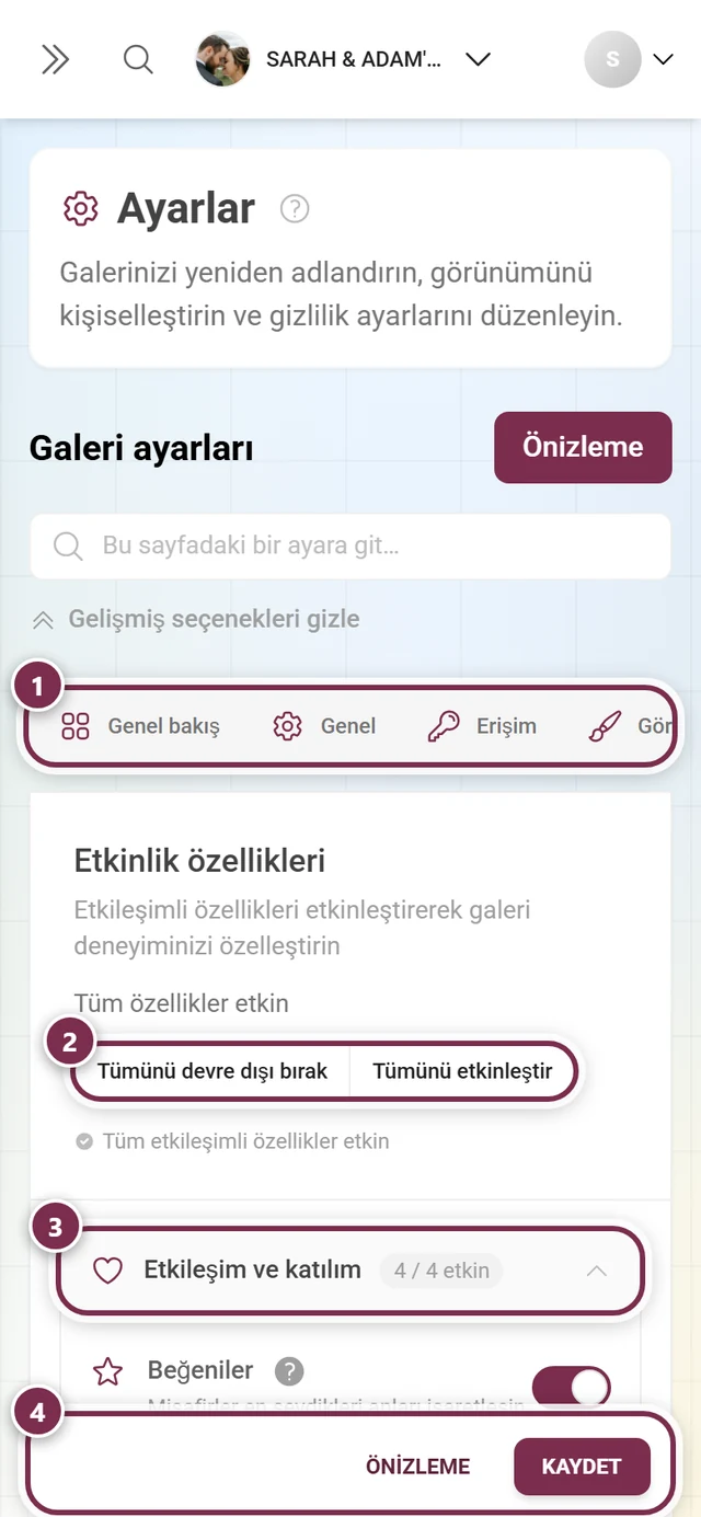 Beğeniler, yorumlar, indirmeler ve diğerleri için anahtarlar ve açılır bölümler içeren Galeri özellikleri sekmesi