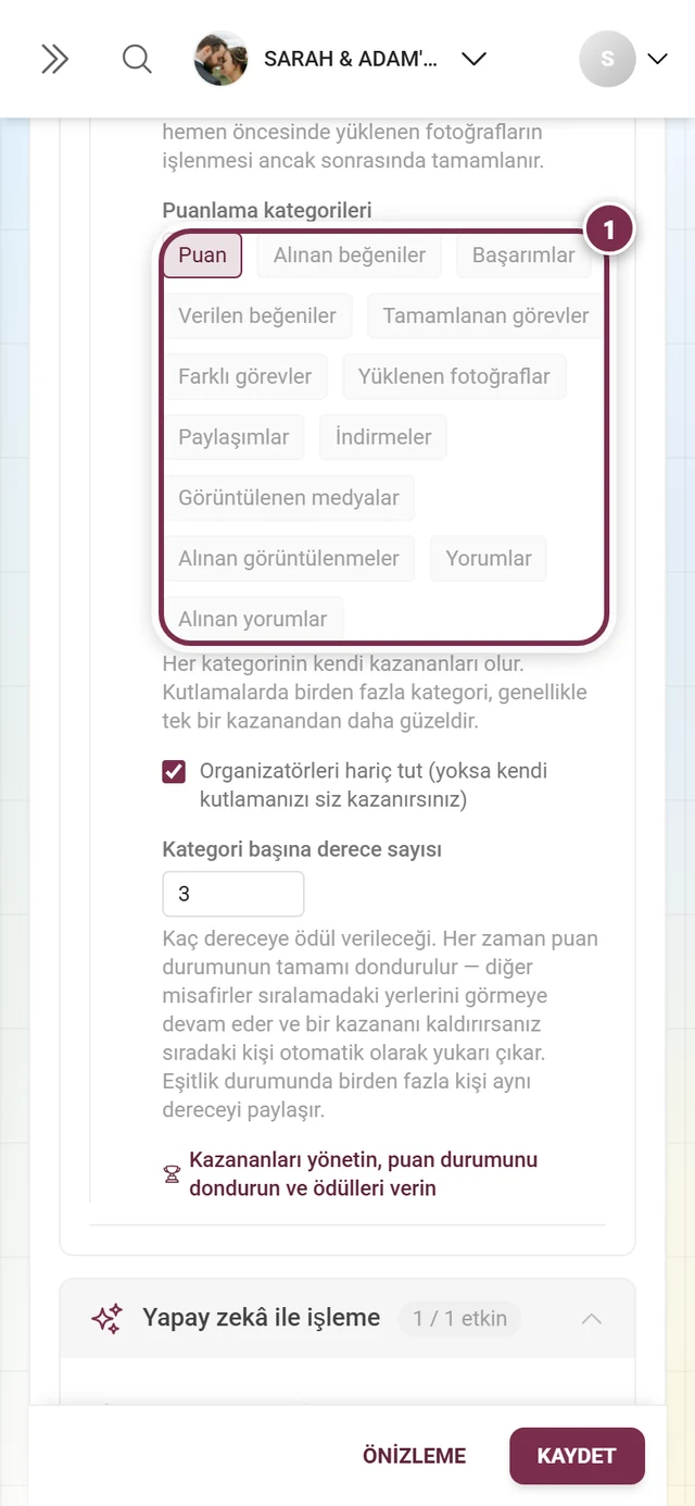 Çip olarak on üç puanlama kategorisi, Puan seçili, birkaçı gri