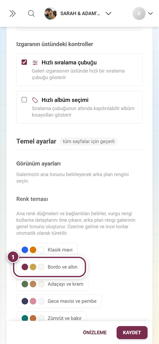 Bordo ve Altın paleti vurgulanmış Görünüm alanındaki renk paletleri