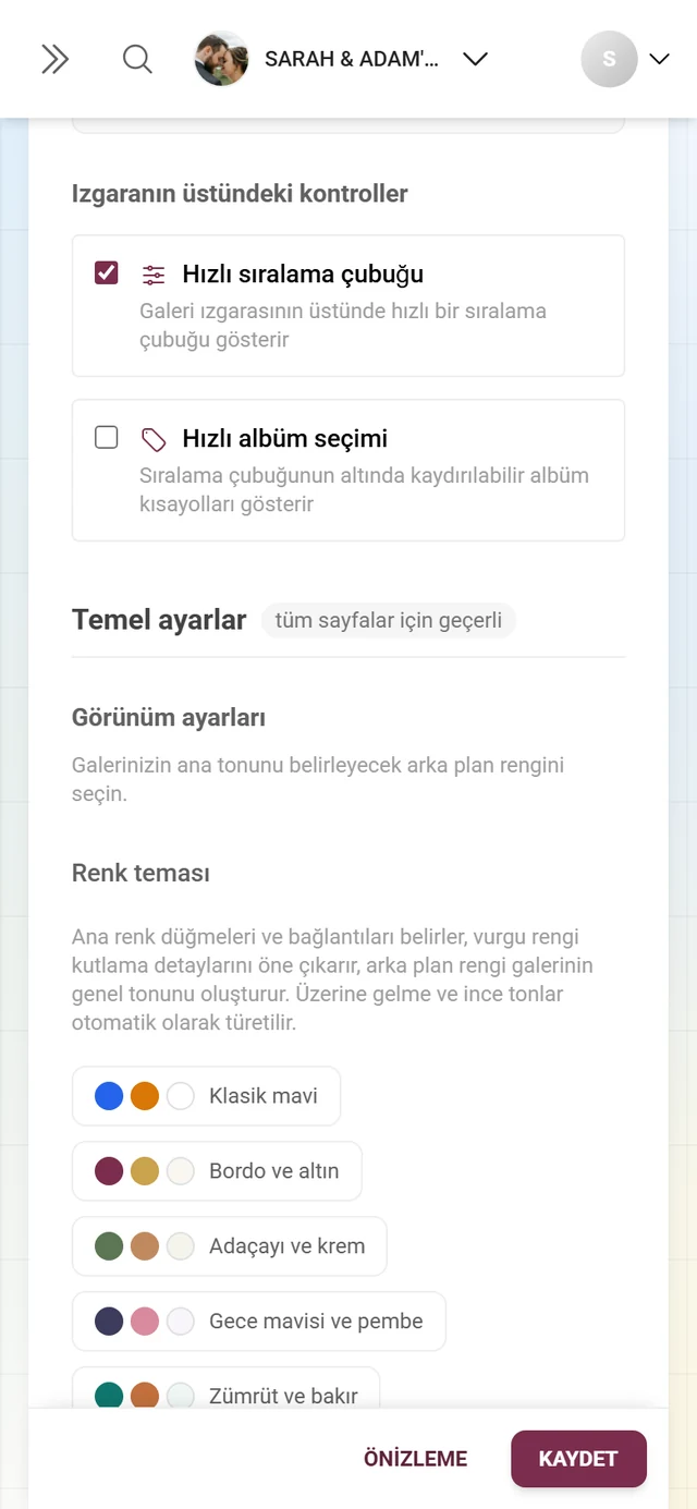 Altı renk paleti ile birincil ve vurgu rengiyle Görünüm ayarları bloğu