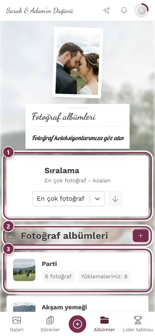 Albüm genel görünümü