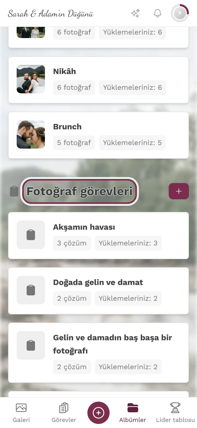 İşaretli Fotoğraf görevleri bölümüne kaydırılmış albüm genel bakışı