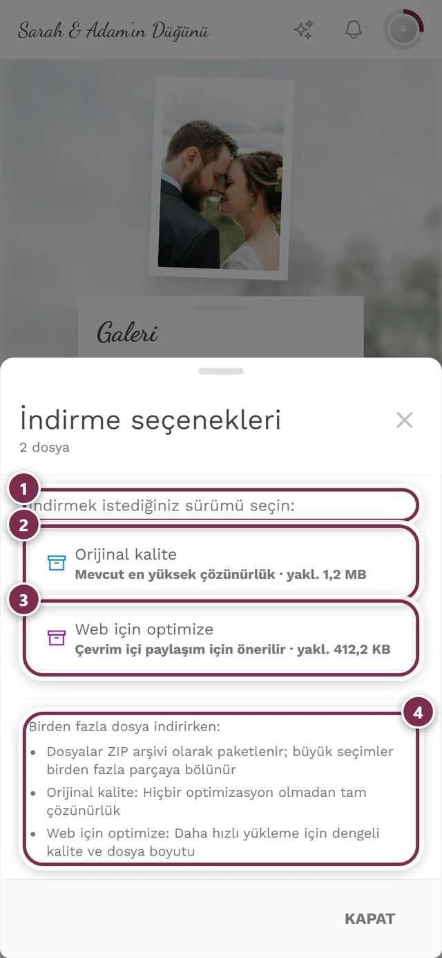 İki işaretli fotoğrafta ZIP notuyla İndirme seçenekleri iletişim kutusu