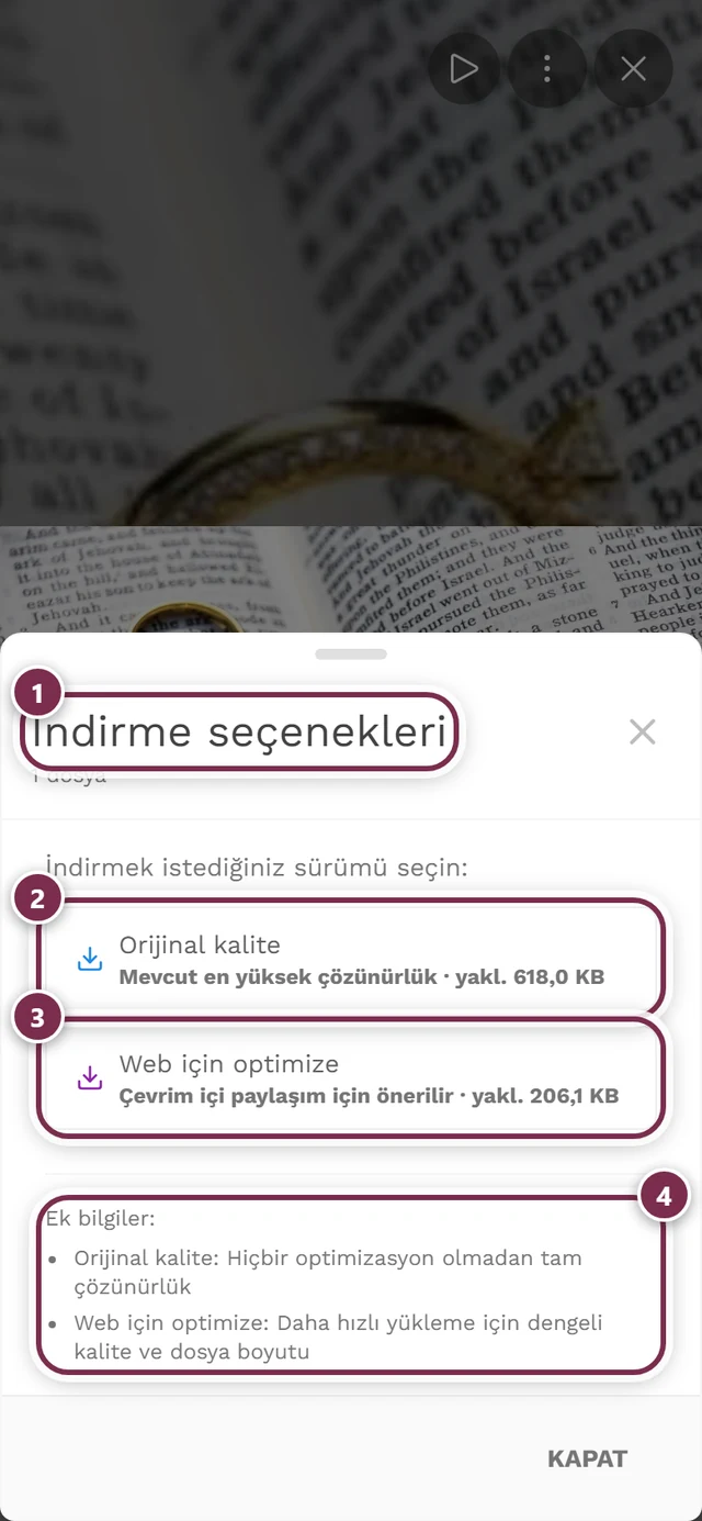 Orijinal kalite ve Web için optimize edilmiş seçenekleri işaretli İndirme seçenekleri iletişim kutusu