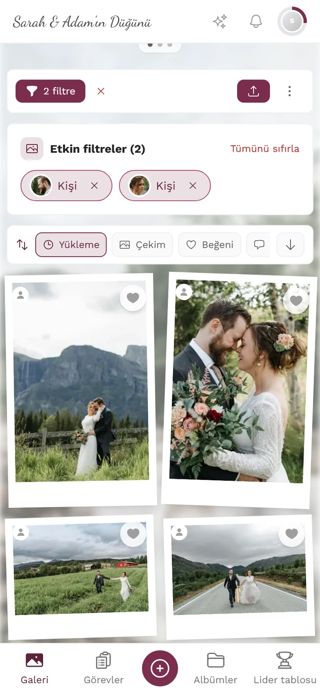 İki kişi çipi ve Tümünü temizle bağlantısıyla galerinin üstündeki Etkin filtreler kutusu