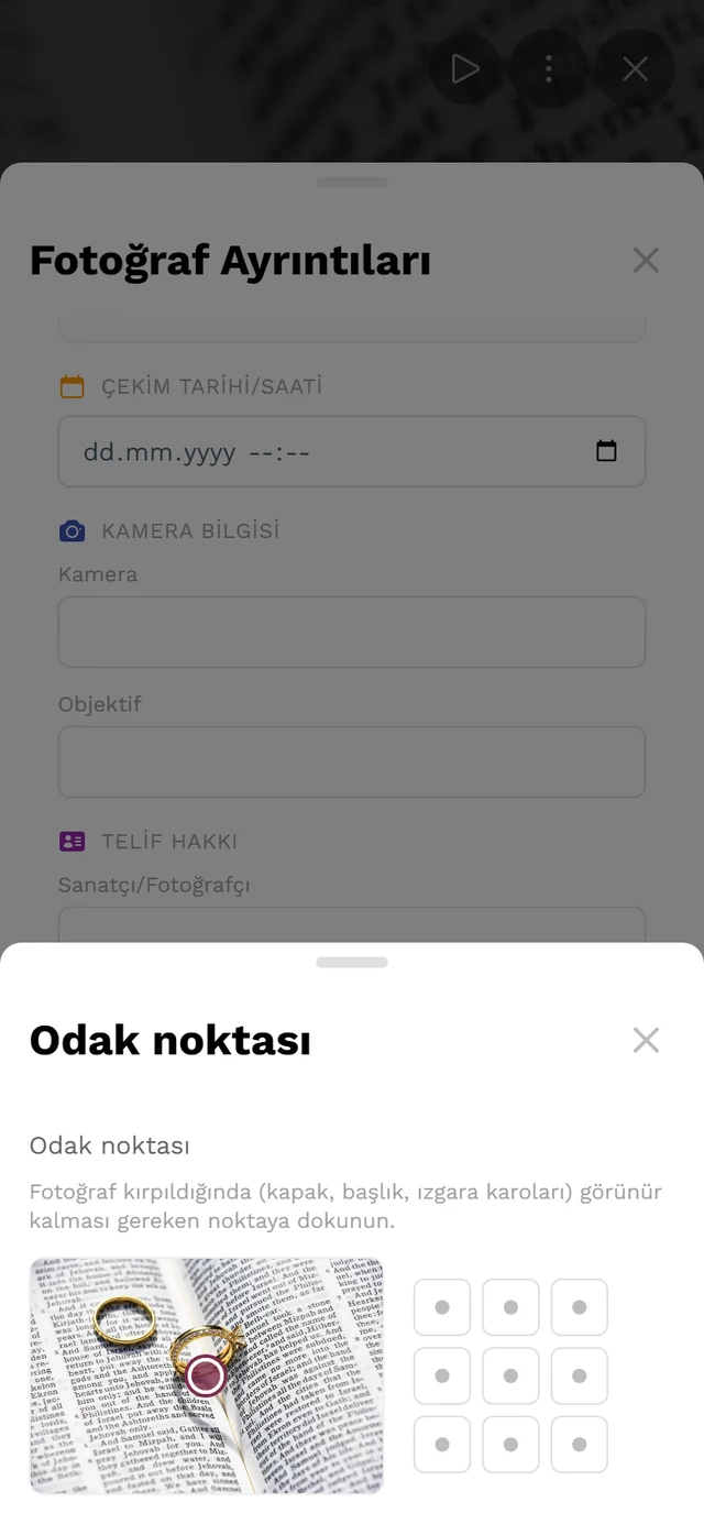Önizleme görseli, işaretçi ve dokuz hazır konumlu ızgarayla Odak noktası açılır penceresi
