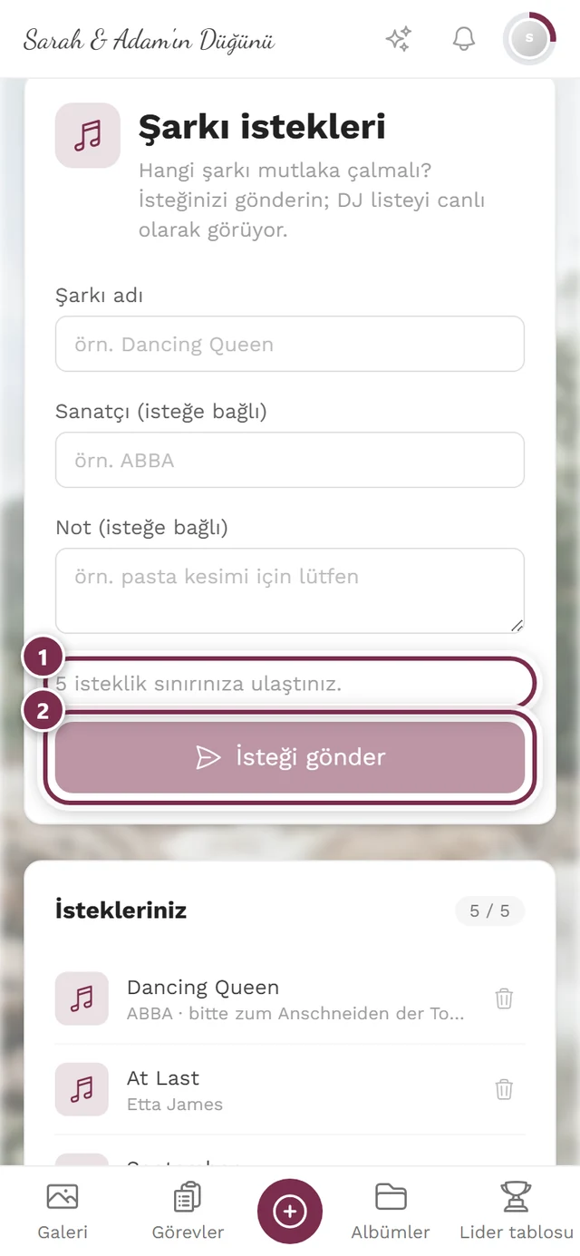 Gri düğme ve 5 isteklik sınırınıza ulaştınız notuyla form