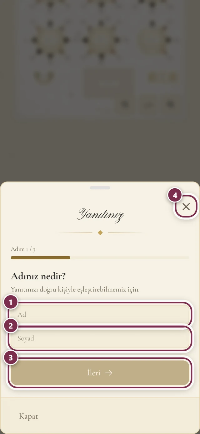 Ad, Soyadı, İleri ve kapatma çarpısı etrafında halkalarla Yanıt penceresi