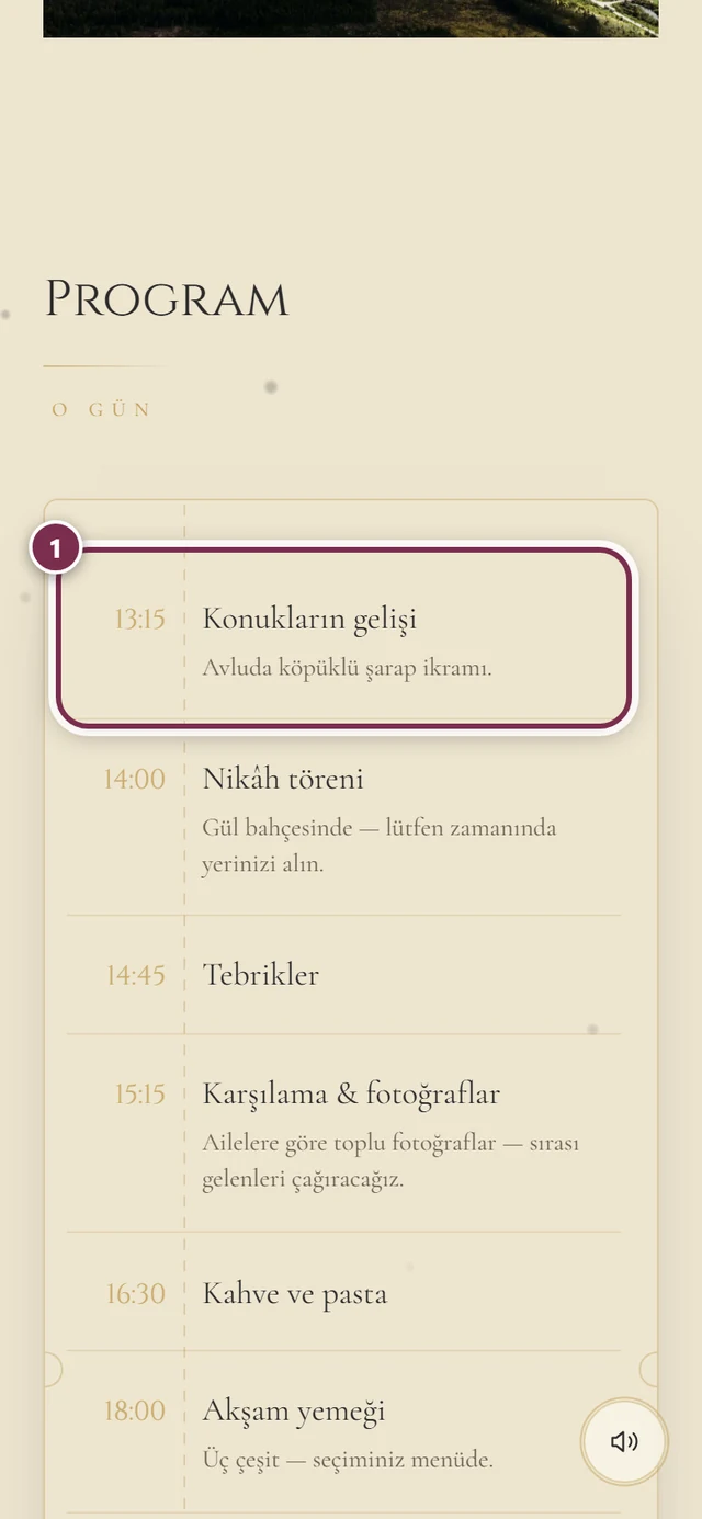 Zaman çizelgesi ve ilk program maddesi etrafında halkayla Program bölümü
