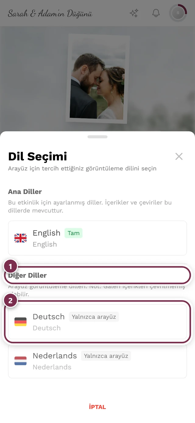 Diğer diller grubu ve Yalnızca arayüz rozetli bir öğe işaretlenmiş Dil seçimi iletişim kutusu