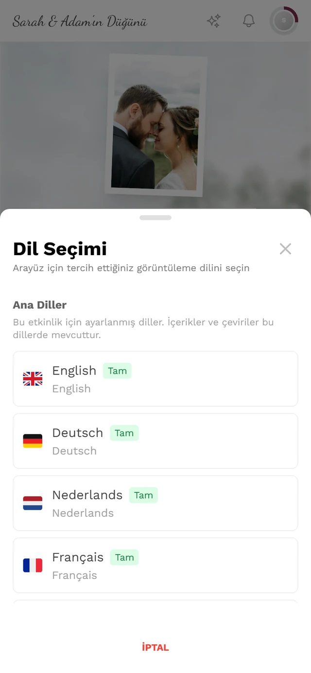 Ana diller, Tam rozeti ve etkin dilde onay işaretiyle Dil seçimi iletişim kutusu