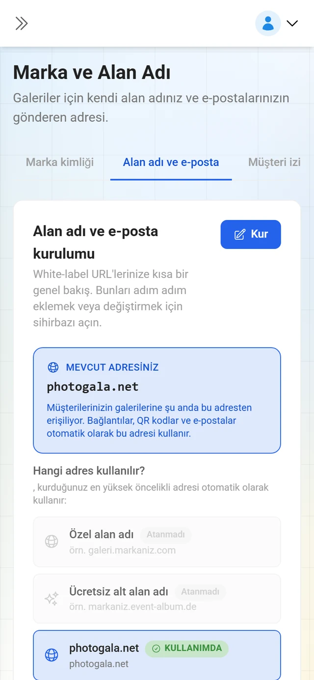 Marka yönetiminin Alan adı ve e-posta sekmesi