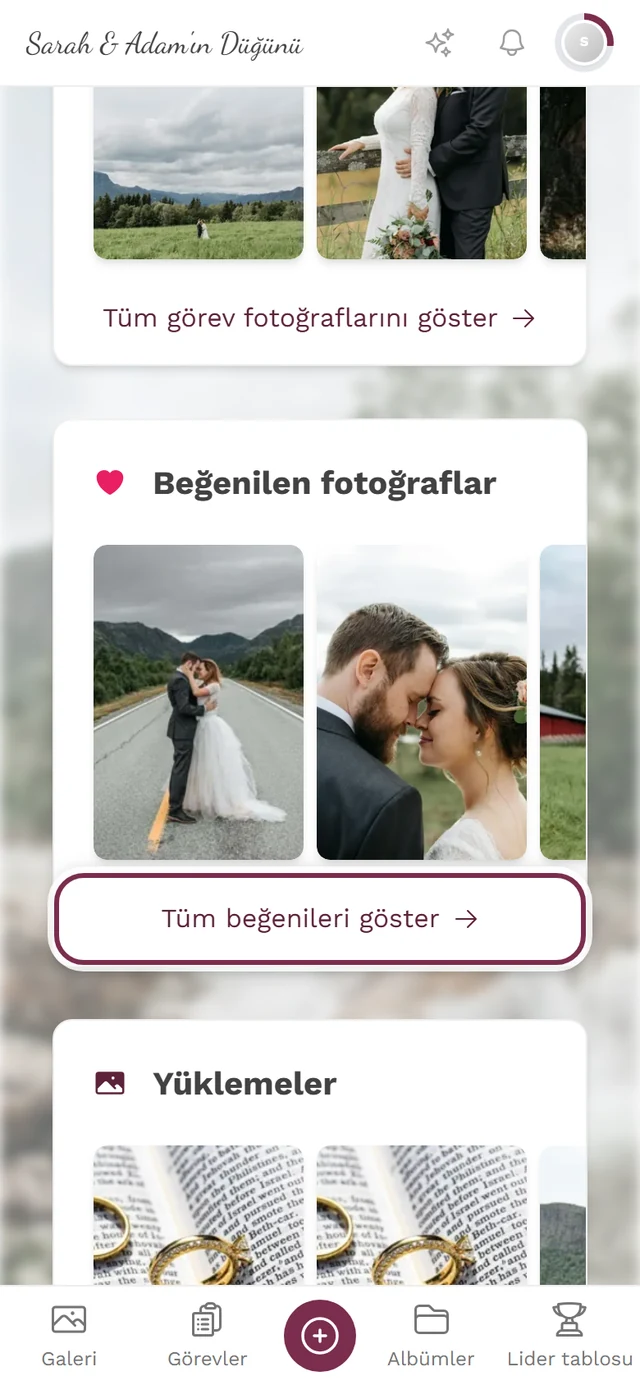 Profil sayfası, Tüm beğenileri göster bağlantısı işaretli Beğenilen fotoğraflar bölümü