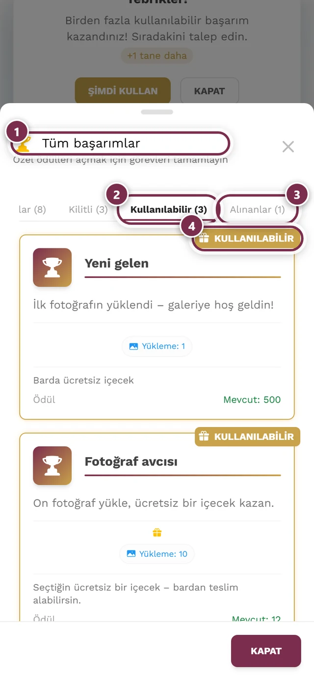 Tümü, Açılanlar, Kilitli, Kullanılabilir ve Alınanlar sekmeleriyle başarım iletişim kutusu