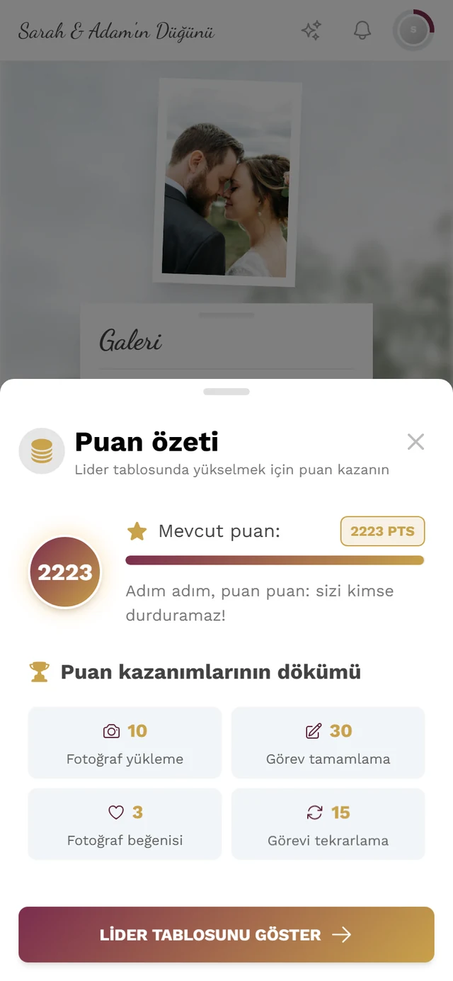 Puan dairesi ve puan kazanım dökümünün dört kutucuğuyla Puan özeti diyaloğu