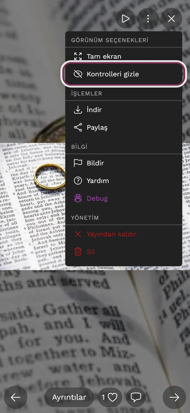 Kontrolleri gizle öğesi işaretli halde tam ekran görünümünün açılmış üç nokta menüsü