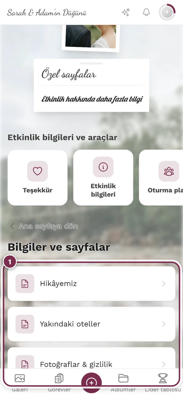Misafir görünümünde üç öğeli Bilgiler ve sayfalar toplu sayfası