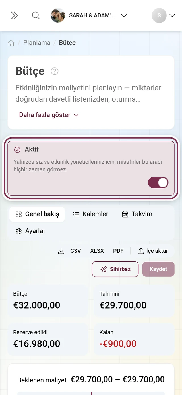 Salt yönetim araçları için açıklama satırıyla bütçe düzenleyicisi