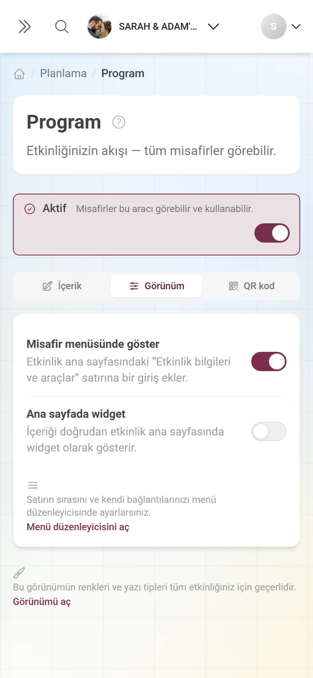 Widget ve misafir menüsü anahtarlarıyla Görünüm sekmesi