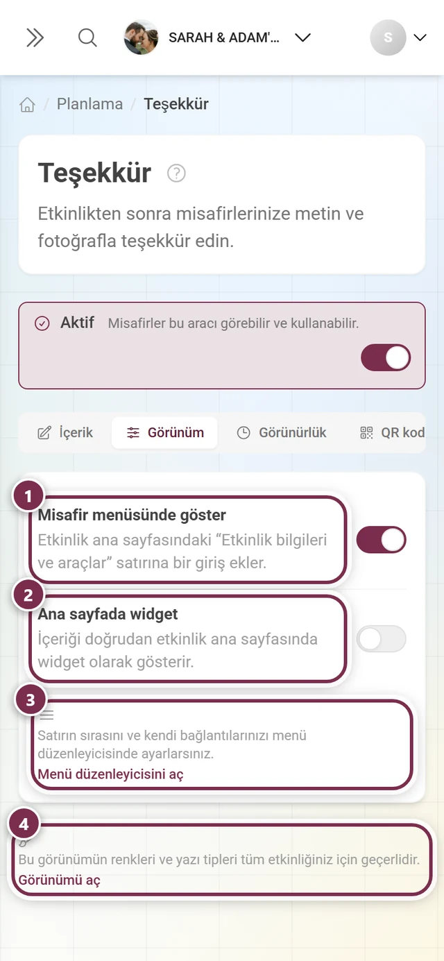 Misafir menüsü ve ana sayfa widget'ı anahtarları ile iki çapraz bağlantılı Görünüm sekmesi